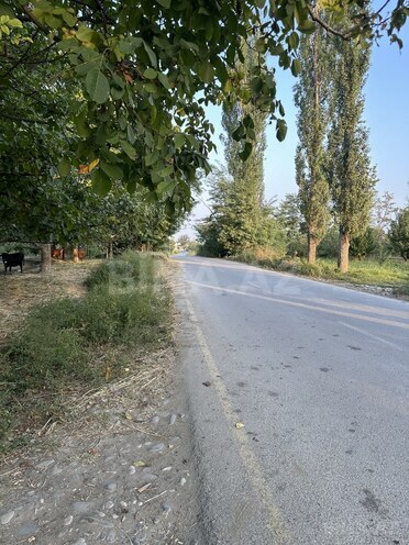 Продаётся  участок 200 сот, Хачмазский р., photo 4 from 13