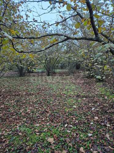 Satılır  torpaq 10 sot, Nabran r., photo 3 from 6