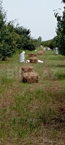 Продаётся  участок 120 сот, photo 7 from 13