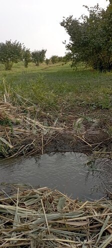 Продаётся  участок 120 сот, photo 10 from 13