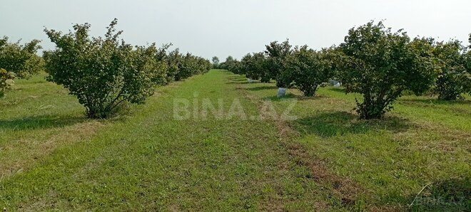 Продаётся  участок 120 сот, photo 3 from 13