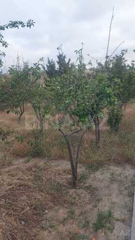 Satılır 7 otaqlı həyət evi/bağ evi 280 m², Novxanı q., photo 28 from 29