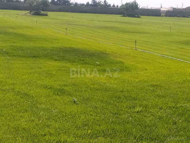 Продаётся  участок 300 сот, пос. Кюрдаханы, photo 4 from 6