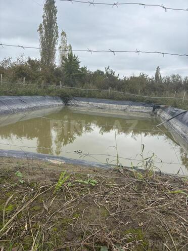 Satılır  torpaq 200 sot, Xaçmaz r., photo 8 from 20