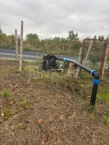 Satılır  torpaq 200 sot, Xaçmaz r., photo 7 from 20