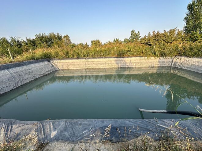 Satılır  torpaq 200 sot, Xaçmaz r., photo 13 from 20