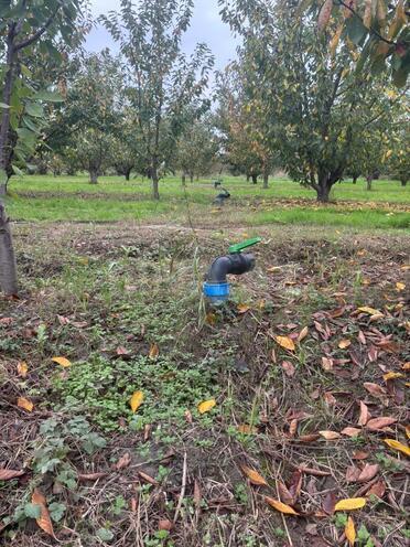 Satılır  torpaq 200 sot, Xaçmaz r., photo 5 from 20