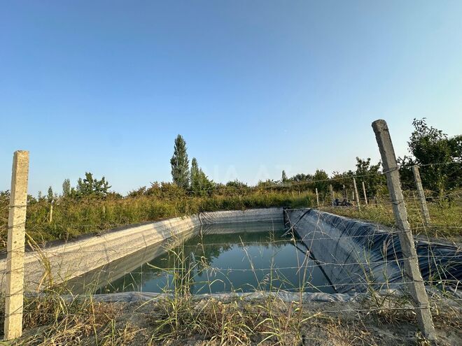 Satılır  torpaq 200 sot, Xaçmaz r., photo 17 from 20