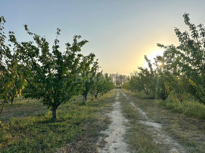 Satılır  torpaq 200 sot, Xaçmaz r., photo 15 from 20