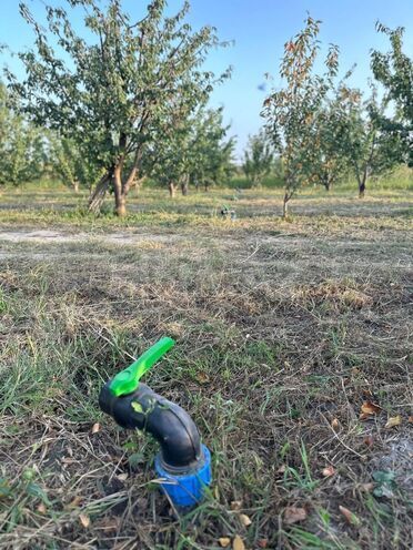 Satılır  torpaq 200 sot, Xaçmaz r., photo 16 from 20