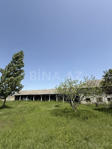 Продаётся 4-комн. дом/дача 150 м², photo 7 from 32