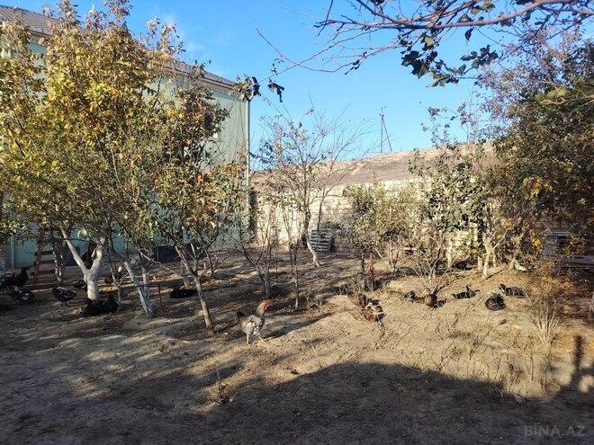 Satılır 4 otaqlı həyət evi/bağ evi 160 m², Digah q., photo 6 from 22