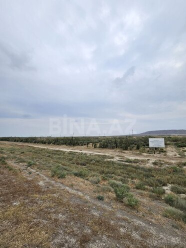 Satılır  torpaq 300 sot, Ələt q., photo 5 from 9