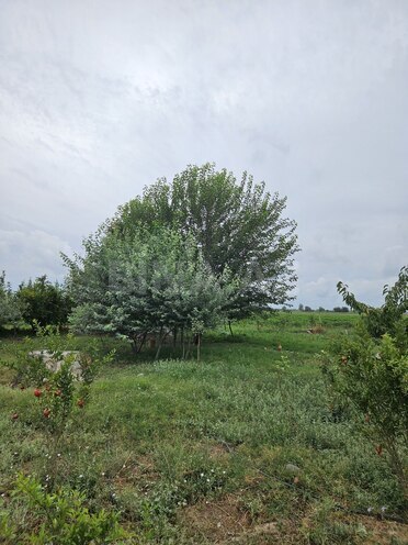 Satılır  obyekt 3 000 m², photo 12 from 23