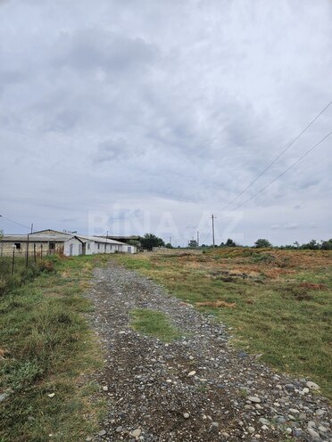 Satılır  obyekt 3 000 m², photo 14 from 23