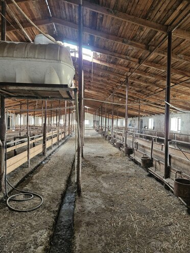 Satılır  obyekt 3 000 m², photo 5 from 23