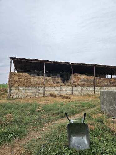 Satılır  obyekt 3 000 m², photo 7 from 23