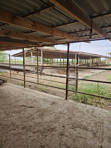 Satılır  obyekt 3 000 m², photo 17 from 23