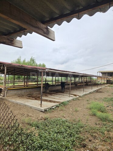 Satılır  obyekt 3 000 m², photo 19 from 23