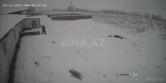 Satılır  obyekt 3 000 m², photo 22 from 23