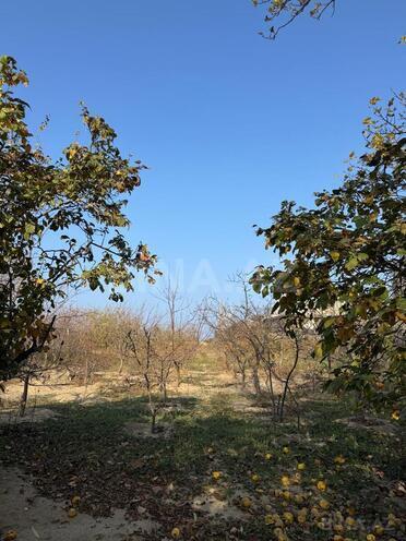 Satılır  torpaq 33 sot, Novxanı q., photo 6 from 13