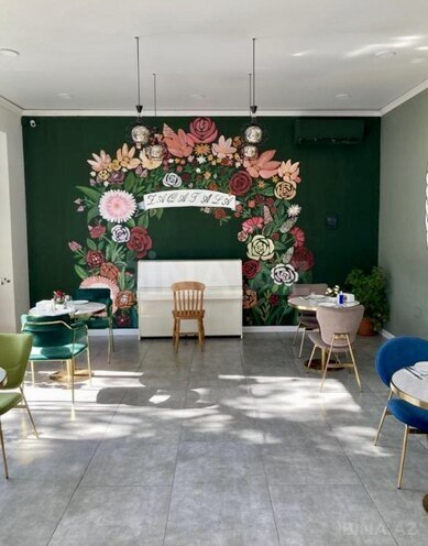 Satılır  obyekt 490 m², photo 16 from 23