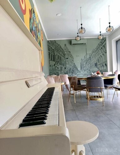 Satılır  obyekt 490 m², photo 17 from 23