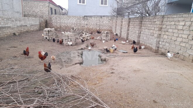 Satılır  torpaq 3 sot, Yeni Ramana q., photo 3 from 8