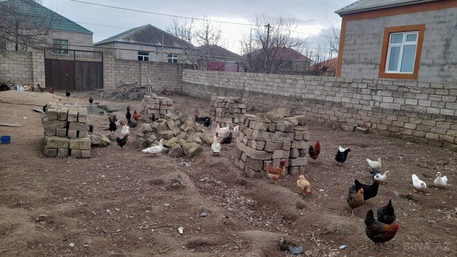 Satılır  torpaq 3 sot, Yeni Ramana q., photo 5 from 8