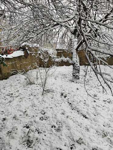 Продаётся 3-комн. дом/дача 400 м², photo 18 from 30