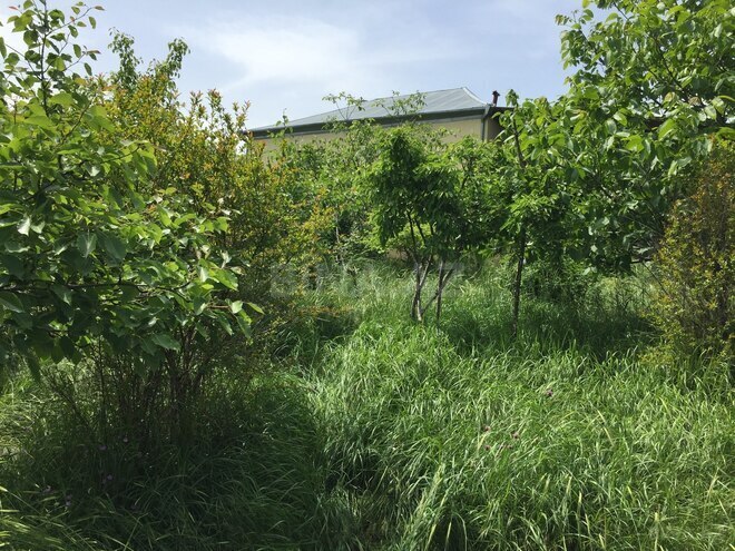 Satılır 3 otaqlı həyət evi/bağ evi 72 m², photo 18 from 21