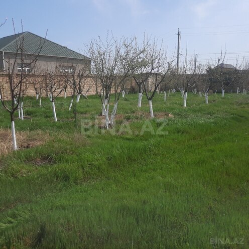 Satılır  torpaq 16 sot, Görədil q., photo 4 from 12