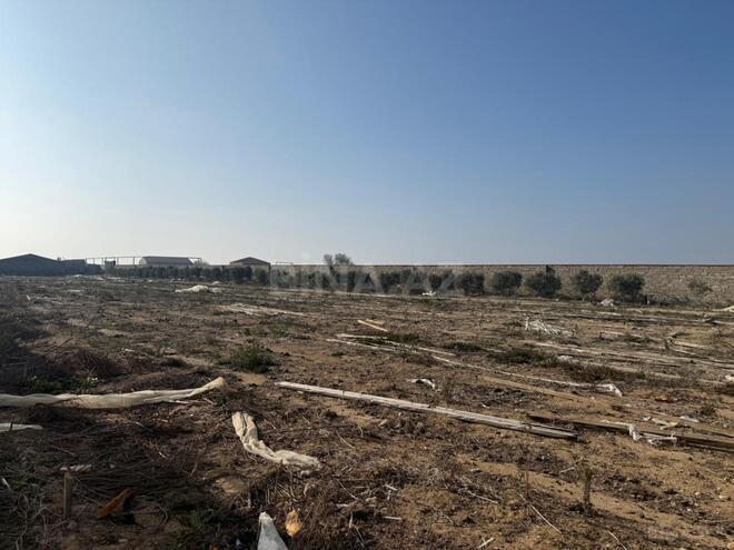 Продаётся  объект 4.5 м², пос. Тюркан, photo 12 from 17