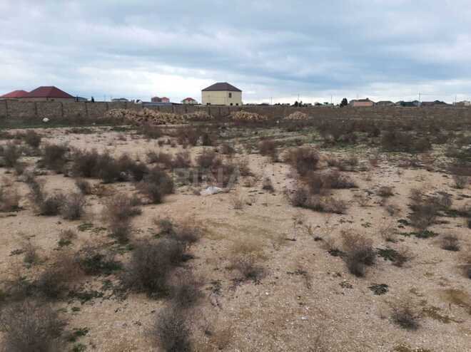 Satılır  torpaq 219 sot, Türkan q., photo 3 from 9