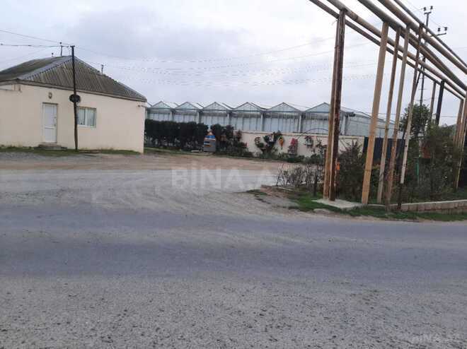 Продаётся  участок 600 сот, пос. Зире, photo 6 from 8