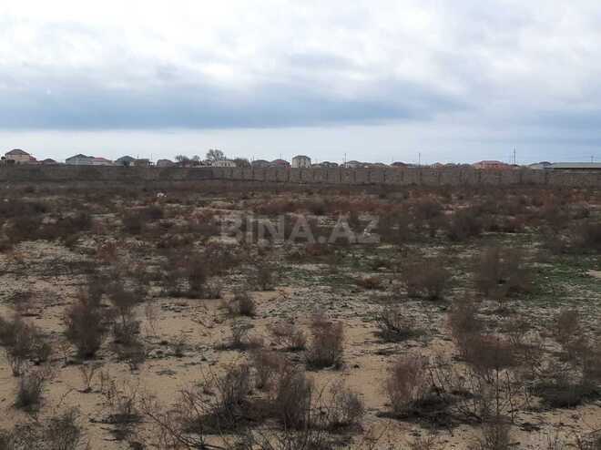 Продаётся  участок 600 сот, пос. Зире, photo 4 from 8