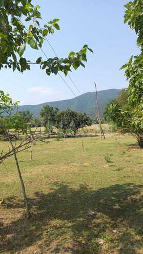 Продаётся  участок 1 500 сот, photo 3 from 7