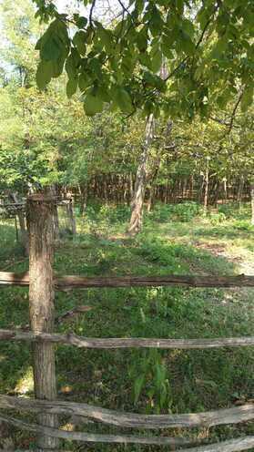 Продаётся  участок 1 500 сот, photo 6 from 7