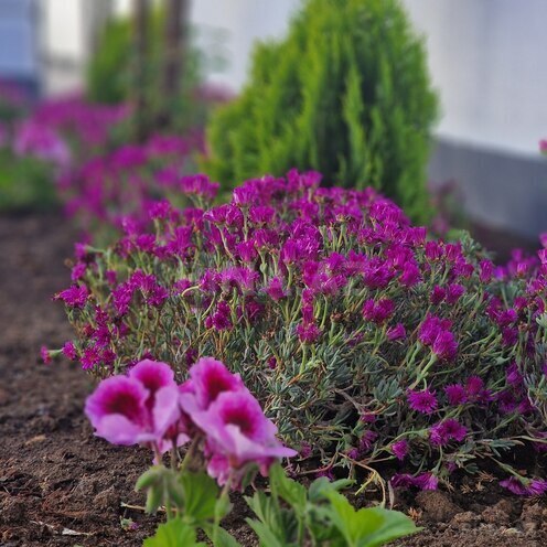 Satılır 7 otaqlı həyət evi/bağ evi 450 m², Badamdar q., photo 22 from 32