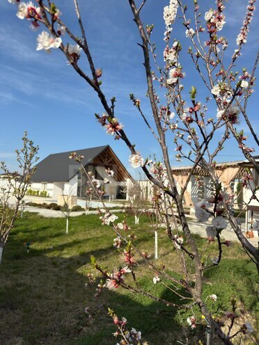 Сдаётся 3-комн. дом/дача 220 м², пос. Тюркан, photo 3 from 15