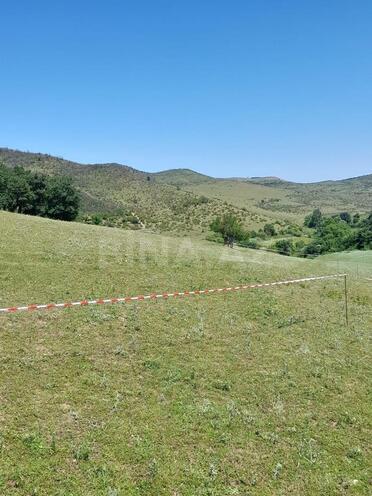 Продаётся  участок 12 сот, photo 9 from 15