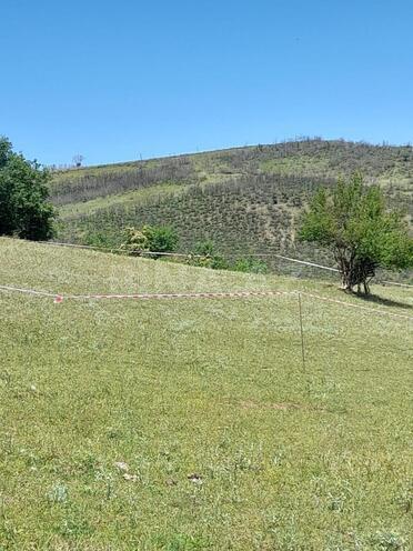 Продаётся  участок 12 сот, photo 8 from 15