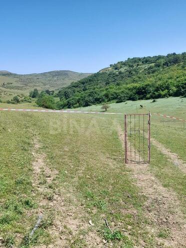 Продаётся  участок 12 сот, photo 10 from 15