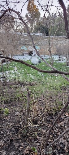 Satılır  torpaq 6 sot, Qaraçuxur q., photo 3 from 8