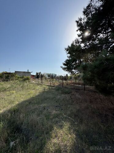 Продаётся  участок 73 сот, пос. Шувеляны, photo 13 from 14