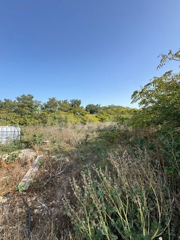 Продаётся  участок 73 сот, пос. Шувеляны, photo 11 from 14