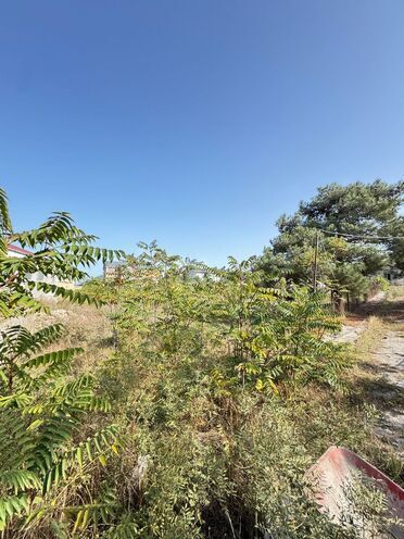 Продаётся  участок 73 сот, пос. Шувеляны, photo 12 from 14