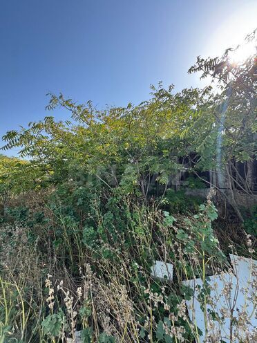 Продаётся  участок 73 сот, пос. Шувеляны, photo 9 from 14