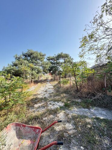 Продаётся  участок 73 сот, пос. Шувеляны, photo 8 from 14