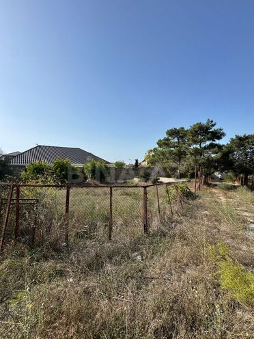 Продаётся  участок 73 сот, пос. Шувеляны, photo 7 from 14